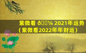 紫微看 🐼 2021年运势（紫微看2022年年财运）